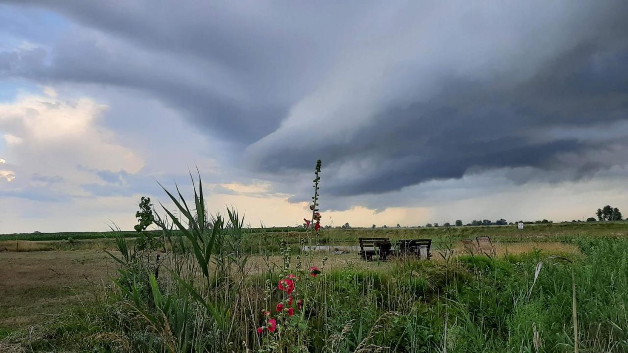 Orzechowy Dworek โนวี ดวูร์ กดันสกี ภายนอก รูปภาพ