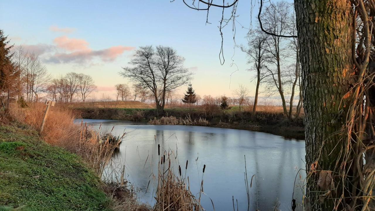 Orzechowy Dworek โนวี ดวูร์ กดันสกี ภายนอก รูปภาพ